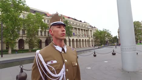 Hungarian-palace-guards-march-together-in-Budapest-Hungary