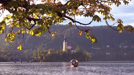 Ruderboote-Steuern-Die-Insel-Auf-Dem-See-Von-Bled-Slowenien-Im-Abendlicht-An
