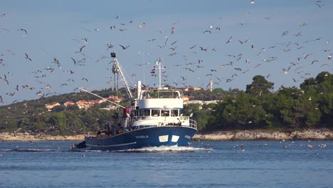 Ein-Modernes-Fischerboot-Kommt-In-Den-Hafen-Mit-Hunderten-Von-Möwen-Auf-Der-Jagd-1