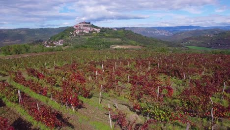 Gorgeous-aerial-of-a-small-Croatian-or-Italian-hill-town-or-village-with-vineyards-foreground