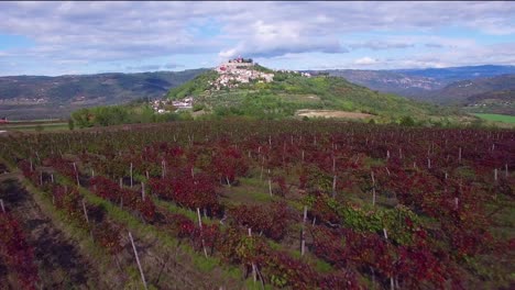 Gorgeous-aerial-of-a-small-Croatian-or-Italian-hill-town-or-village-with-vineyards-foreground-1