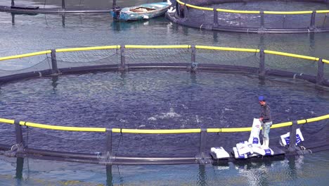 Workers-feed-fish-in-a-fish-farm-in-Montenegro