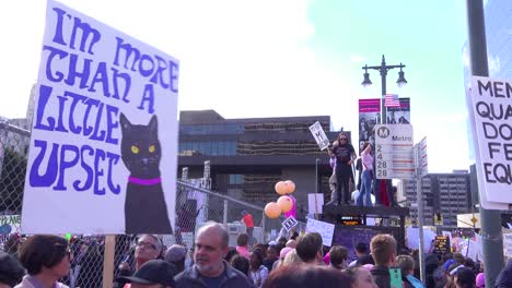 Hundreds-of-thousands-march-chant-and-carry-signs-to-protest-the-presidency-of-Donald-Trump-in-downtown-Los-Angeles-California-2