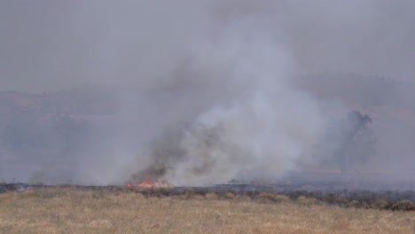 Un-Incendio-Forestal-Arde-En-Las-Colinas-Del-Centro-De-California-1