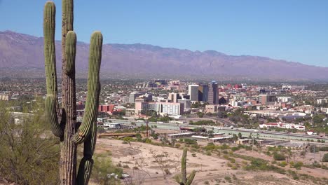 An-establishing-shot-with-cactus-of-Tucson-Arizona