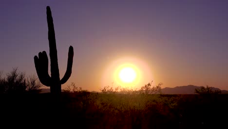 Una-Hermosa-Atardecer-En-El-Parque-Nacional-Saguaro-Captura-Perfectamente-El-Desierto-De-Arizona-1