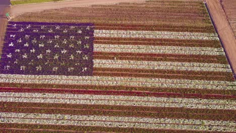 An-aerial-shot-over-a-giant-American-flag-made-of-flowers