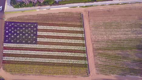 Eine-Luftaufnahme-über-Einer-Riesigen-Amerikanischen-Flagge-Aus-Blumen-1