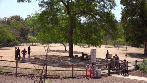 People-bring-their-pets-to-a-dog-park