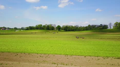 Eine-Wunderschöne-Antenne-Von-Amischen-Bauern,-Die-Ihre-Felder-Mit-Pferd-Und-Pflug-Pflegen-1
