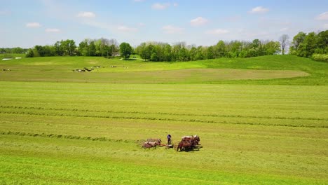 Eine-Antenne-Von-Amischen-Bauern,-Die-Ihre-Felder-Mit-Pferd-Und-Pflug-Bewirtschaften