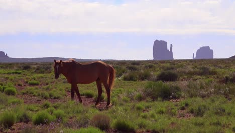 Pferde-Weiden-Mit-Der-Natürlichen-Schönheit-Des-Monument-Valley-Utah-Im-Hintergrund-3