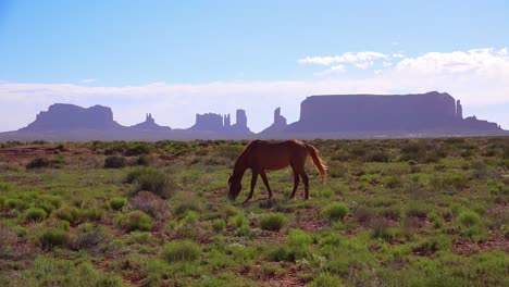 Pferde-Weiden-Mit-Der-Natürlichen-Schönheit-Des-Monument-Valley-Utah-Im-Hintergrund-4