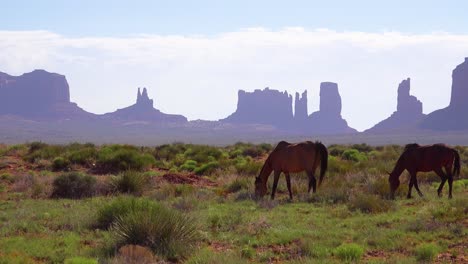 Pferde-Weiden-Mit-Der-Natürlichen-Schönheit-Des-Monument-Valley-Utah-Im-Hintergrund-8