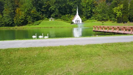 Antenne-über-Schwäne-Auf-Einem-See-Vor-Einer-Romantischen-Und-Schönen-Kleinen-Kirche-In-Der-Amerikanischen-Wildnis-West-Virginia
