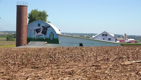 Establishing-shot-of-a-dairy-farm-with-large-cow-painted-on-barn-1