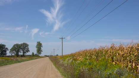 Rural-corn-fields-and-dirt-road-leads-into-Midwest-farm-country