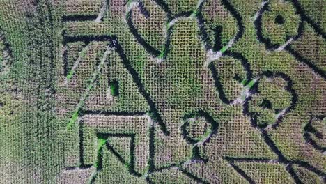 Eine-Antenne-über-Einem-Riesigen-Maislabyrinth-Auf-Einer-Michigan-Farm-2