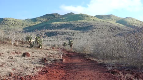 A-red-dirt-trail-leads-through-a-barren-volcanic-landscape-in-the-Galapagos-Islands-Ecuador