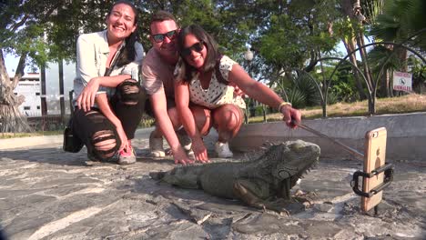 La-Gente-Toma-Un-Selfie-Posando-Con-Una-Iguana-En-Un-Parque-Público-En-Guayaquil,-Ecuador