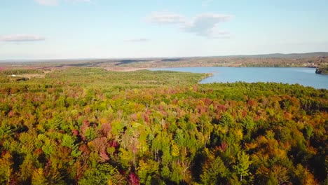 Antena-Sobre-Vastos-Bosques-De-Follaje-Y-Color-Otoñales-En-Maine-O-Nueva-Inglaterra-1