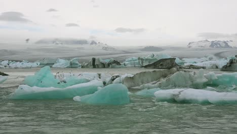 Icebergs-and-Arctic-tern-birds-in-a-río-in-the-frozen-Arctic-Jokulsarlon-glacier-lagoon-in-Iceland-1