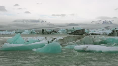 Icebergs-and-Arctic-tern-birds-in-a-river-in-the-frozen-Arctic-Jokulsarlon-glacier-lagoon-in-Iceland-2