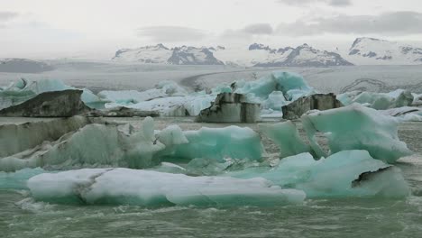 Icebergs-and-Arctic-tern-birds-in-a-river-in-the-frozen-Arctic-Jokulsarlon-glacier-lagoon-in-Iceland-3