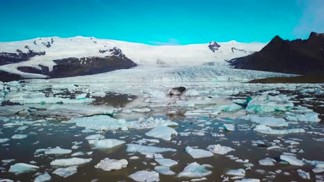 Langsame-Luftaufnahmen-über-Die-Massive-Gletscherlagune,-Die-Mit-Eisbergen-Bei-Fjallsarlon-Island-Gefüllt-Ist,-Deutet-Auf-Globale-Erwärmung-Und-Klimawandel-Hin-11