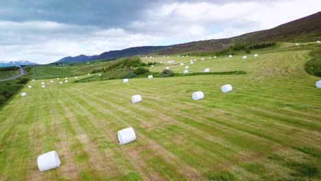 An-aerial-over-large-white-bales-of-hay-wrapped-in-plastic-cylinders-like-marshmallows-in-the-fields-of-Iceland-2