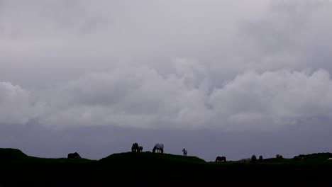 Icelandic-horses-kick-and-play-in-silhouette-on-a-lonely-butte