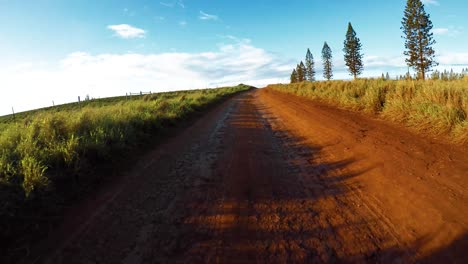 POV-from-the-front-of-a-vehicle-traveling-on-a-very-rutted-dirt-road-on-Molokai-Hawaii-from-Maunaloa-to-Hale-o-Lono-2