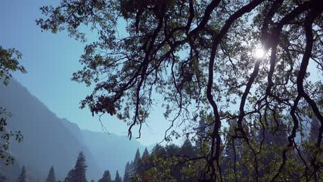 Dreiachsige-Pfanne-Im-Yosemite-Valley-Mit-Einem-Sonnendurchbruch-Eine-Silhouette-Von-Bäumen-Und-Felswandformationen-Yosemite-Np-Ca.-1