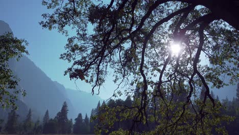Malerische-Aufnahme-Des-Yosemite-Valley-Mit-Einem-Sunburst-Eine-Silhouette-Von-Bäumen-Und-Felsformationen-Yosemite-NP-Ca