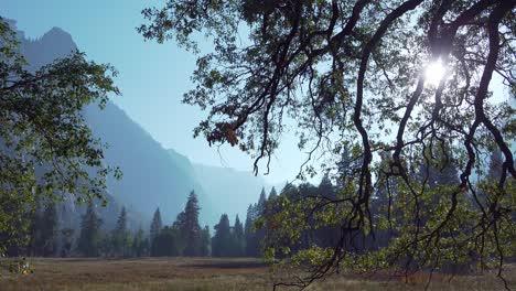 Horizontal-pan-in-Yosemite-Valley-featuring-a-sunburst-a-silhouette-of-trees-and-rock-wall-formations-Yosemite-NP-CA