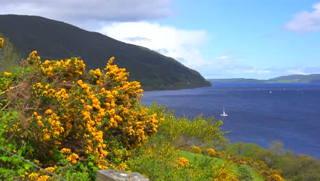 Eine-Einleitende-Aufnahme-Von-Loch-Ness-Schottland