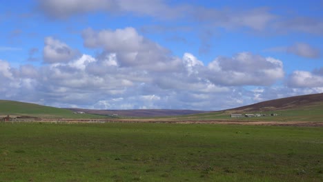 Wide-shot-of-the-green-fields-of-the-Orkney-Islands-of-Scotland