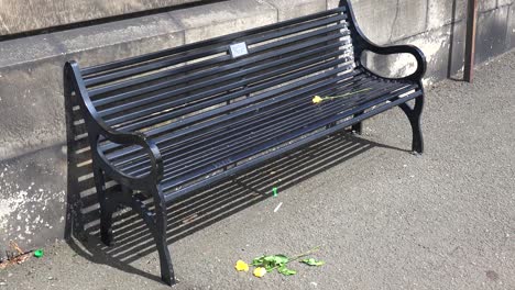 Crushed-flowers-sit-on-the-ground-in-front-of-an-empty-park-bench