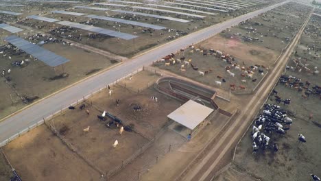 Aerial-over-the-pens-at-a-cattle-ranch-and-slaughterhouse-in-Central-California-2