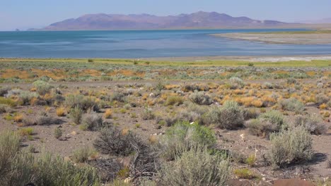 An-establishing-shot-of-Pyramid-Lake-Nevada-1