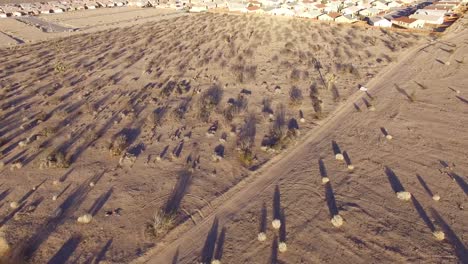 Luftaufnahmen-über-Weite-Wohngebiete-In-Der-Wüste-Zeigen-Endlose-Vorstädte