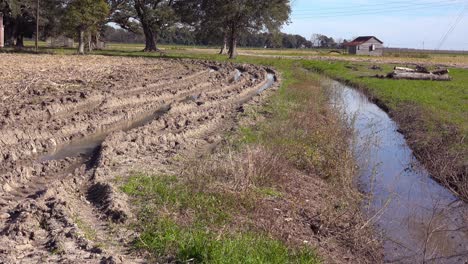 Cabañas-De-Madera-Utilizadas-Por-Los-Esclavos-Todavía-Se-Encuentran-En-Una-Plantación-En-El-Sur-Profundo-3