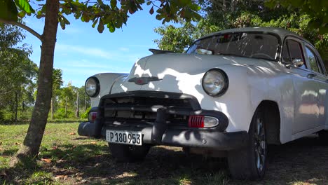 A-beautiful-classic-old-car-sits-under-a-tree-in-a-field-in-Cuba