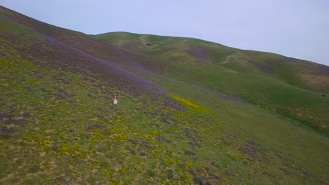 Eine-Frau-Geht-Durch-Riesige-Wildblumenfelder-Auf-Einem-Kalifornischen-Hügel