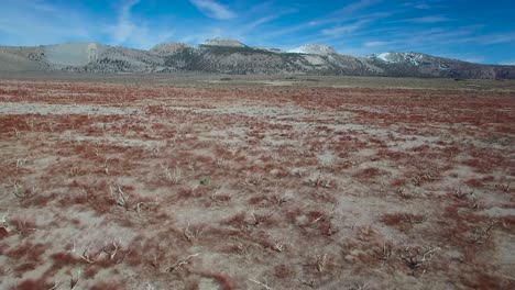 Beautiful-aerial-shot-over-red-sagebrush-reveals-the-Mono-volcano-cones-in-the-Eastern-Sierra-Nevada-mountains