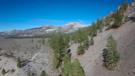 High-aerial-shot-over-a-ridge-with-pines-reveals-the-Mono-volcano-cones-in-the-Eastern-Sierra-Nevada-mountains