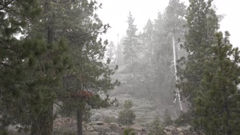 A-blinding-snowstorm-strikes-in-the-Sierra-Nevada-mountains-at-Lake-Tahoe-2