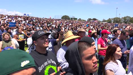 Attendees-at-a-Bernie-Sanders-rally-watch-his-speech-from-a-hillside