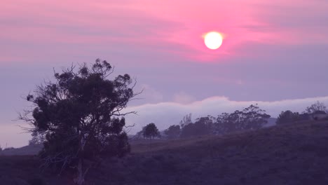 Beautiful-reddish-sunset-through-fog-and-clouds