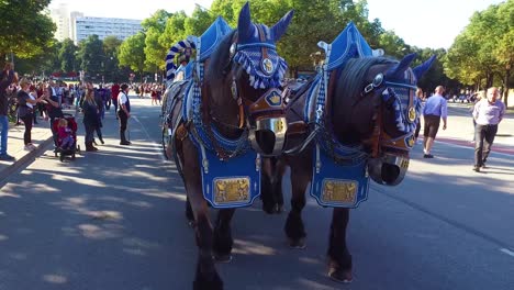 Ein-Pferdegespannter-Bierwagen-Wird-Beim-Oktoberfest-Durch-Die-Straßen-Von-München-Gezogen